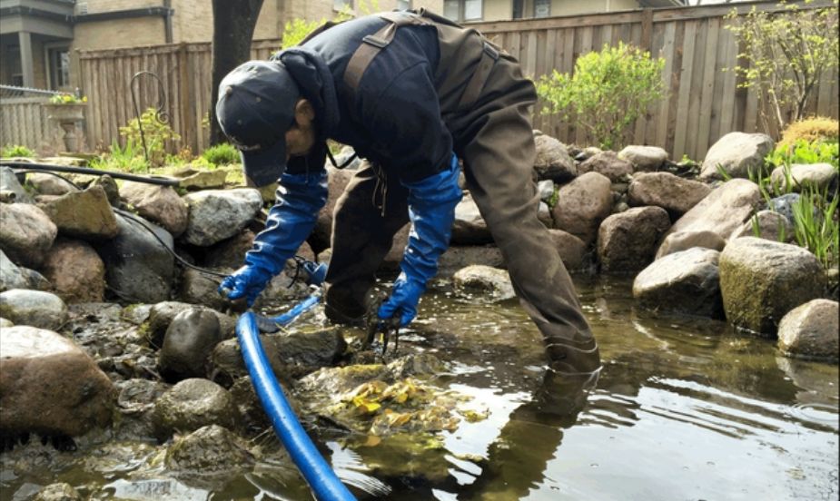 Pond and Water Feature Repairs and Maintenance in Dundee