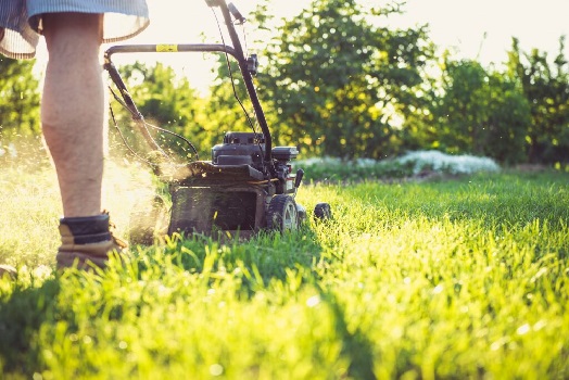 Lawn Mowing and Lawn Care in County Tyrone