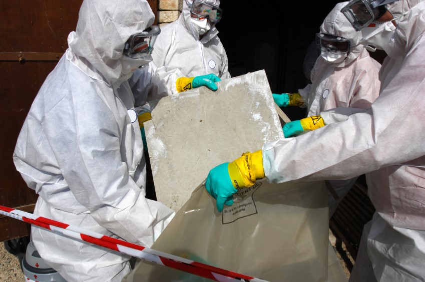 Asbestos Removal Professionals
